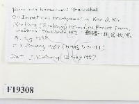 登錄號:F0019308藏品圖，第2張