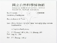 登錄號:F0019308藏品圖，第3張