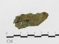 登錄號:F0019309藏品圖，第1張