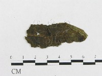 登錄號:F0019309藏品圖，第4張
