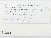 登錄號:F0019310藏品圖，第2張