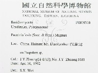 登錄號:F0019310藏品圖，第3張