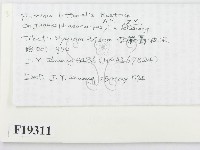 登錄號:F0019311藏品圖，第2張