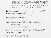 登錄號:F0019311藏品圖，第3張