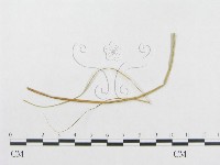登錄號:F0019311藏品圖，第4張