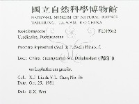 登錄號:F0019312藏品圖，第3張
