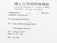 館號:F0019313藏品圖，第3張