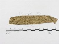 館號:F0019313藏品圖，第4張