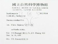 登錄號:F0019314藏品圖，第3張