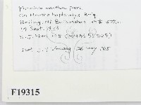登錄號:F0019315藏品圖，第2張