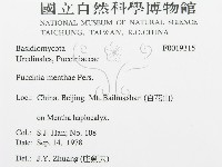 登錄號:F0019315藏品圖，第3張
