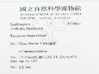 登錄號:F0019316藏品圖，第3張