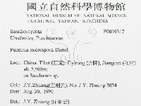 館號:F0019317藏品圖，第3張