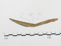 館號:F0019317藏品圖，第1張