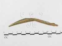 館號:F0019317藏品圖，第4張