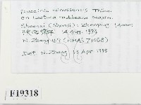 登錄號:F0019318藏品圖，第2張