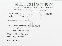 登錄號:F0019318藏品圖，第3張