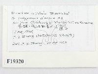 登錄號:F0019320藏品圖，第2張
