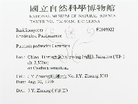 登錄號:F0019322藏品圖，第3張