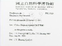 登錄號:F0019323藏品圖，第3張