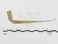登錄號:F0019323藏品圖，第1張
