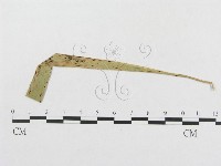 登錄號:F0019323藏品圖，第4張