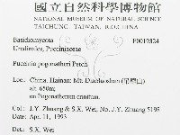 登錄號:F0019324藏品圖，第3張