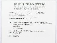 登錄號:F0019328藏品圖，第3張
