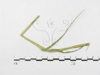 登錄號:F0019328藏品圖，第1張