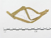 登錄號:F0019330藏品圖，第1張