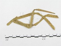 登錄號:F0019330藏品圖，第4張