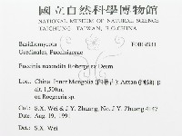 登錄號:F0019331藏品圖，第3張