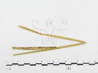 登錄號:F0019331藏品圖，第4張