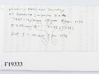 登錄號:F0019333藏品圖，第2張