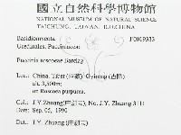 登錄號:F0019333藏品圖，第3張