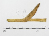登錄號:F0019333藏品圖，第4張