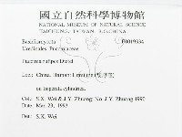 登錄號:F0019334藏品圖，第3張