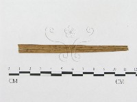 登錄號:F0019334藏品圖，第4張