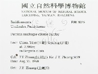登錄號:F0019335藏品圖，第3張