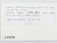 登錄號:F0019336藏品圖，第2張