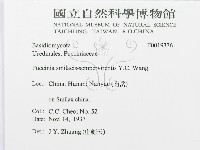 登錄號:F0019336藏品圖，第3張