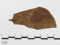 登錄號:F0019336藏品圖，第4張