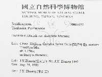 登錄號:F0019337藏品圖，第3張