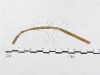 登錄號:F0019337藏品圖，第4張