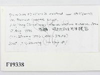 登錄號:F0019338藏品圖，第2張