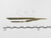 登錄號:F0019338藏品圖，第4張