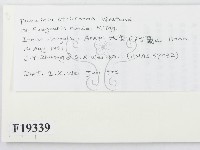 登錄號:F0019339藏品圖，第2張