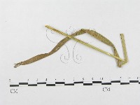 登錄號:F0019339藏品圖，第1張