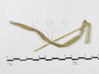 登錄號:F0019339藏品圖，第4張