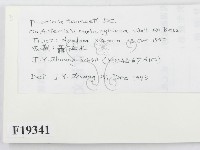 登錄號:F0019341藏品圖，第2張